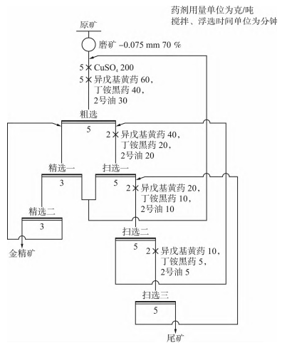 微細(xì)浸染型金礦選礦工藝流程圖